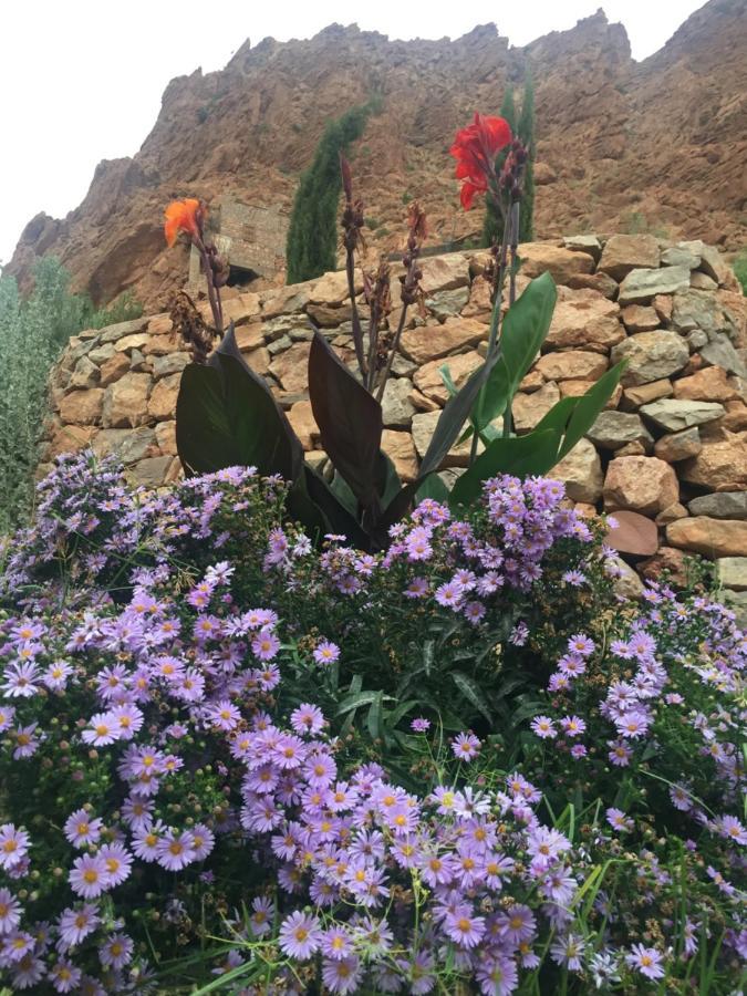 Auberge Le Festival Todra Gorge Aït Baha Buitenkant foto