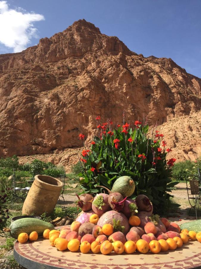 Auberge Le Festival Todra Gorge Aït Baha Buitenkant foto