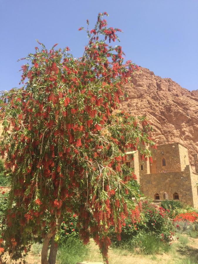 Auberge Le Festival Todra Gorge Aït Baha Buitenkant foto