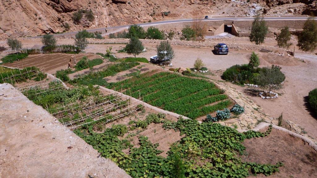 Auberge Le Festival Todra Gorge Aït Baha Buitenkant foto